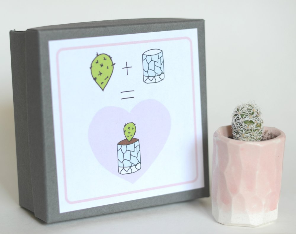 Mini Cactus Kit